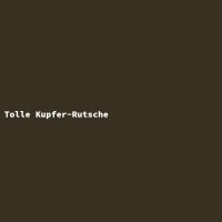 Tolle Kupfer-Rutsche